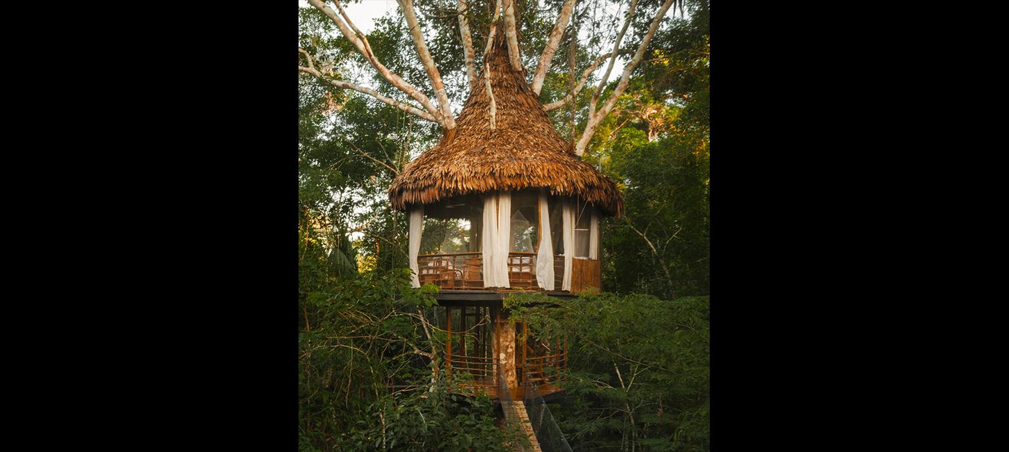 Habitación Treehouse Lodge