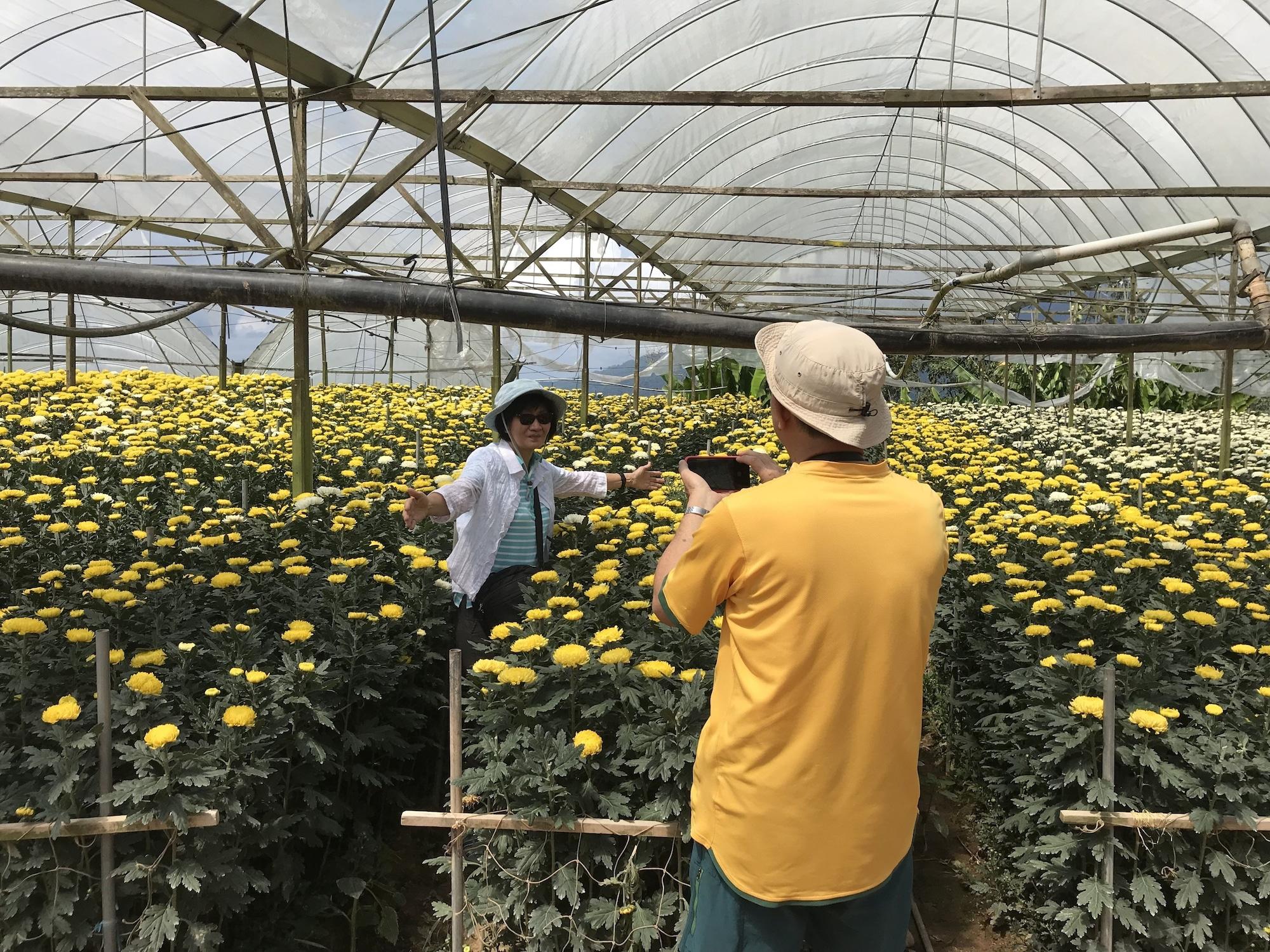 Instalaciones Recreativas Blue Romance 2 Cameron Highlands