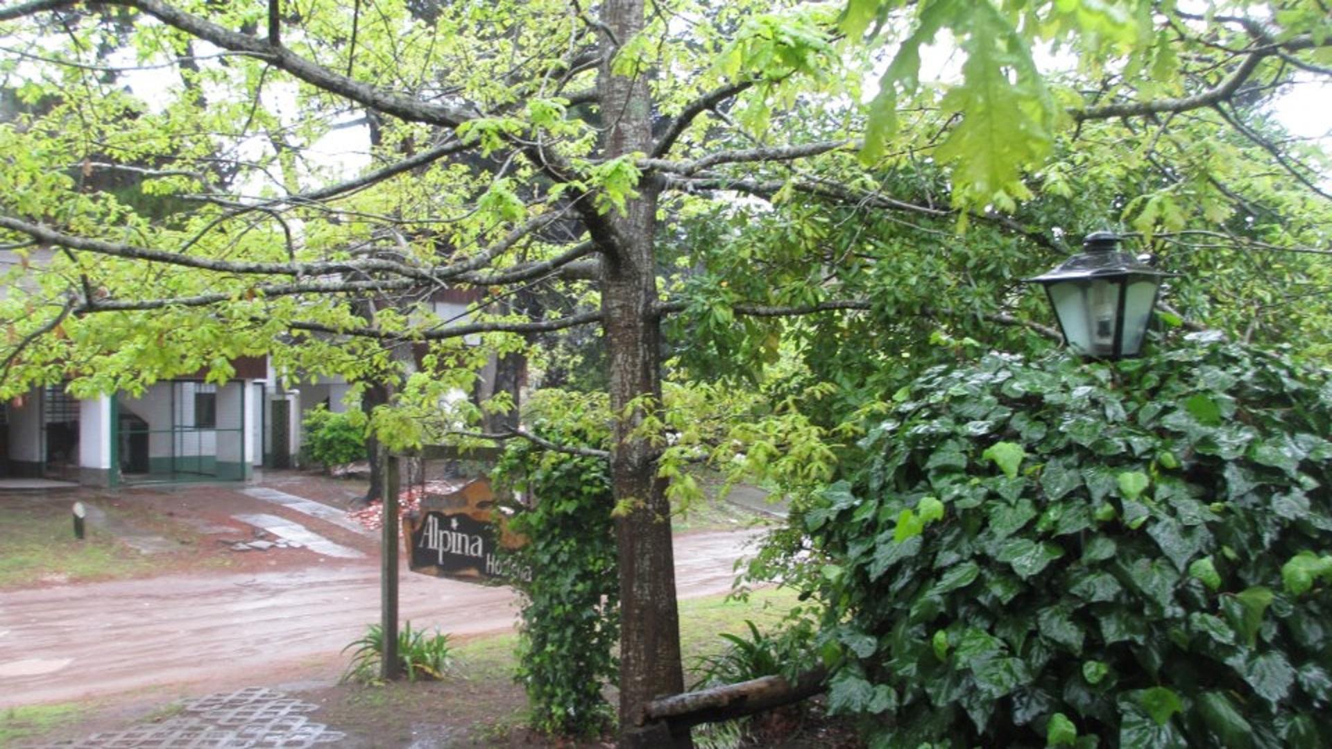 Varios Alpina Hosteria
