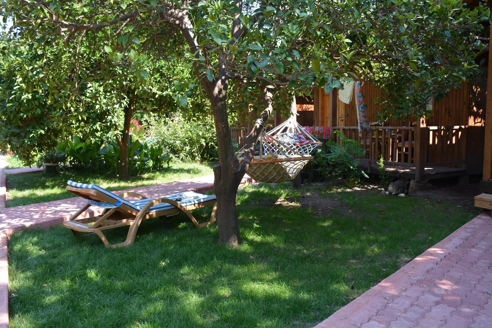 Vista Exterior Caretta Caretta Pension