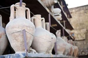 Actividad - Un día a Pompeya y sus ruinas desde Roma
