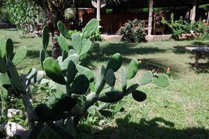 Alojamiento - Barbara's Village