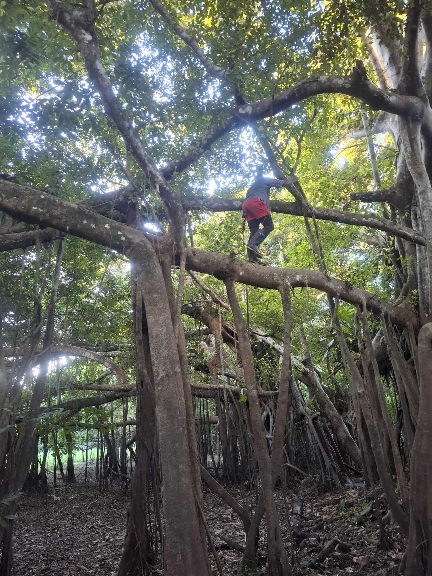 Instalaciones Recreativas Hospedaje  Reina Arriera Amazonas