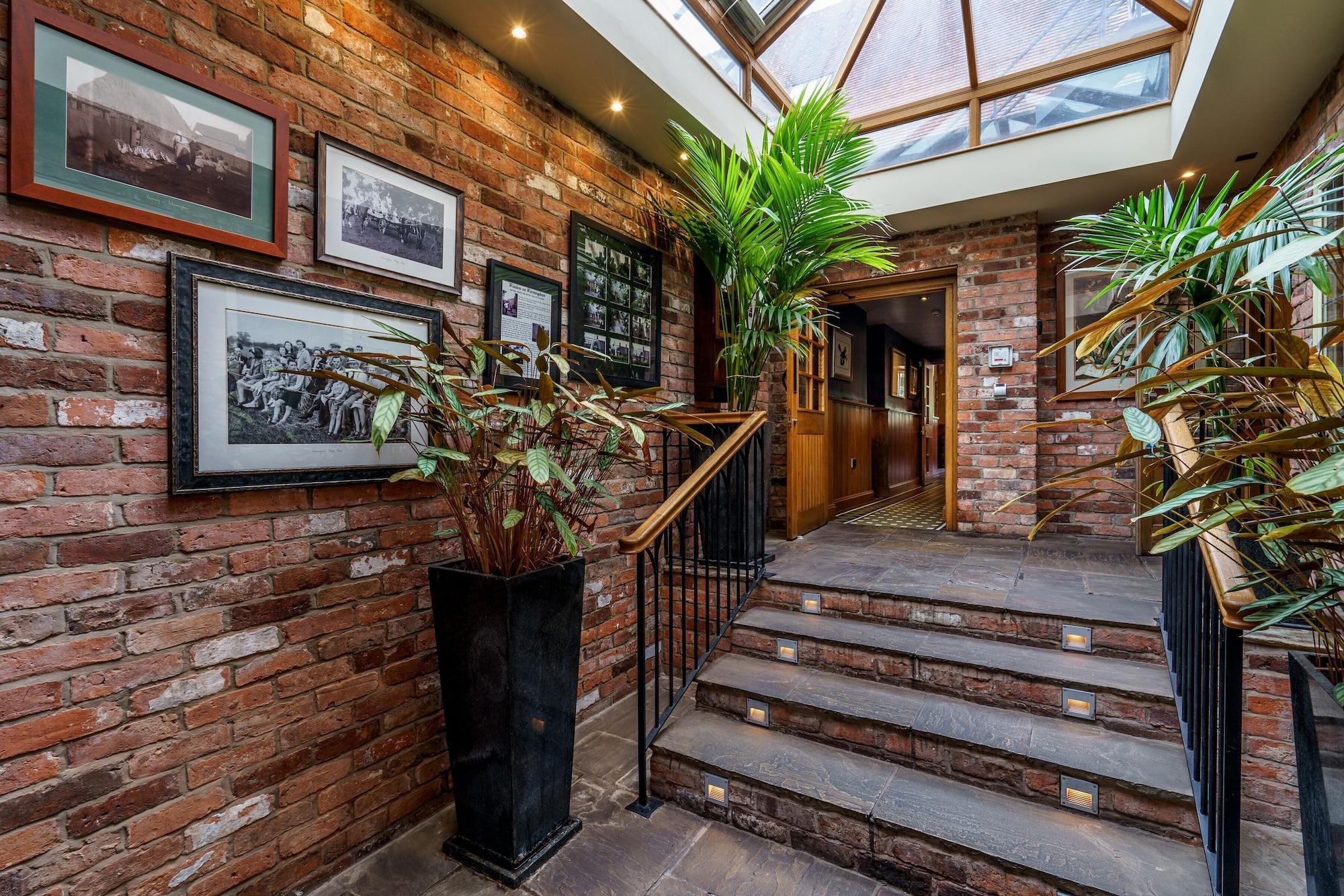 Vista Lobby Bears Paw Inn