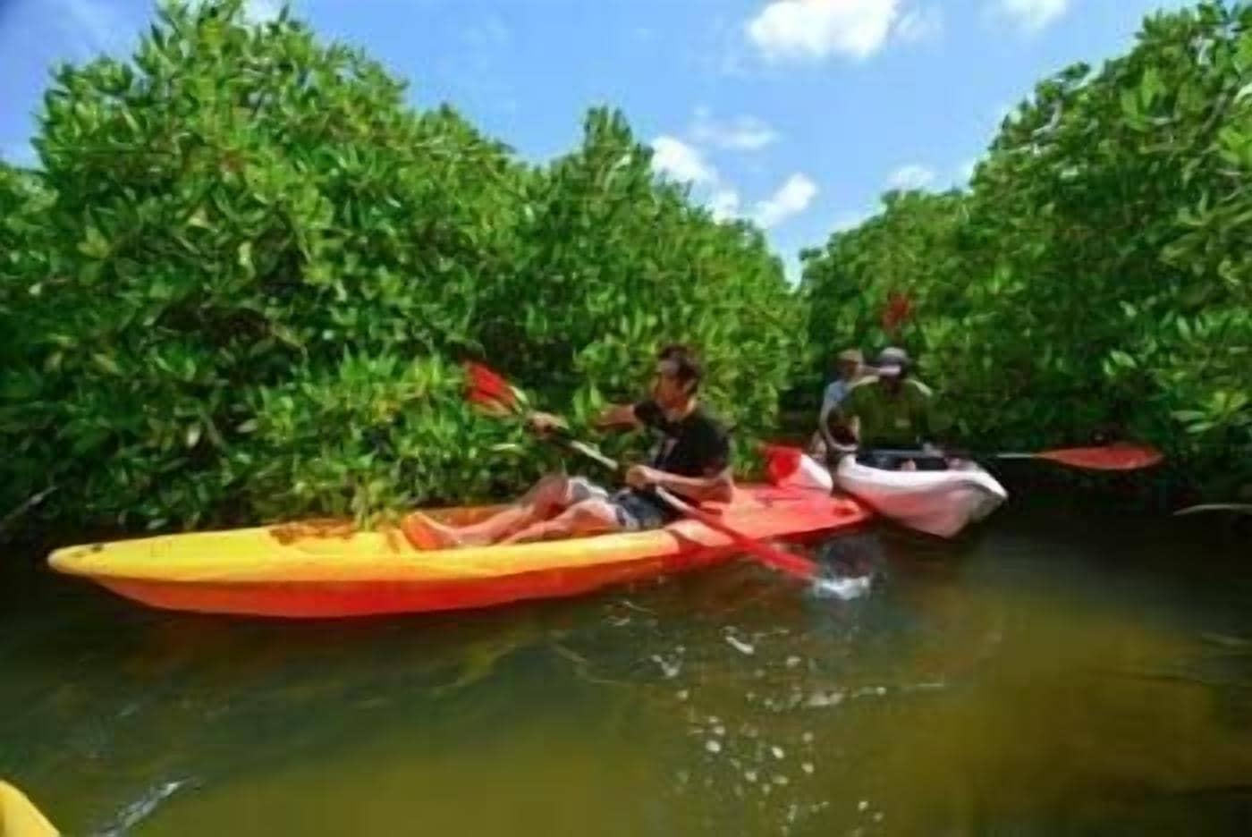 Instalaciones Recreativas L'Ecolodge de Simal