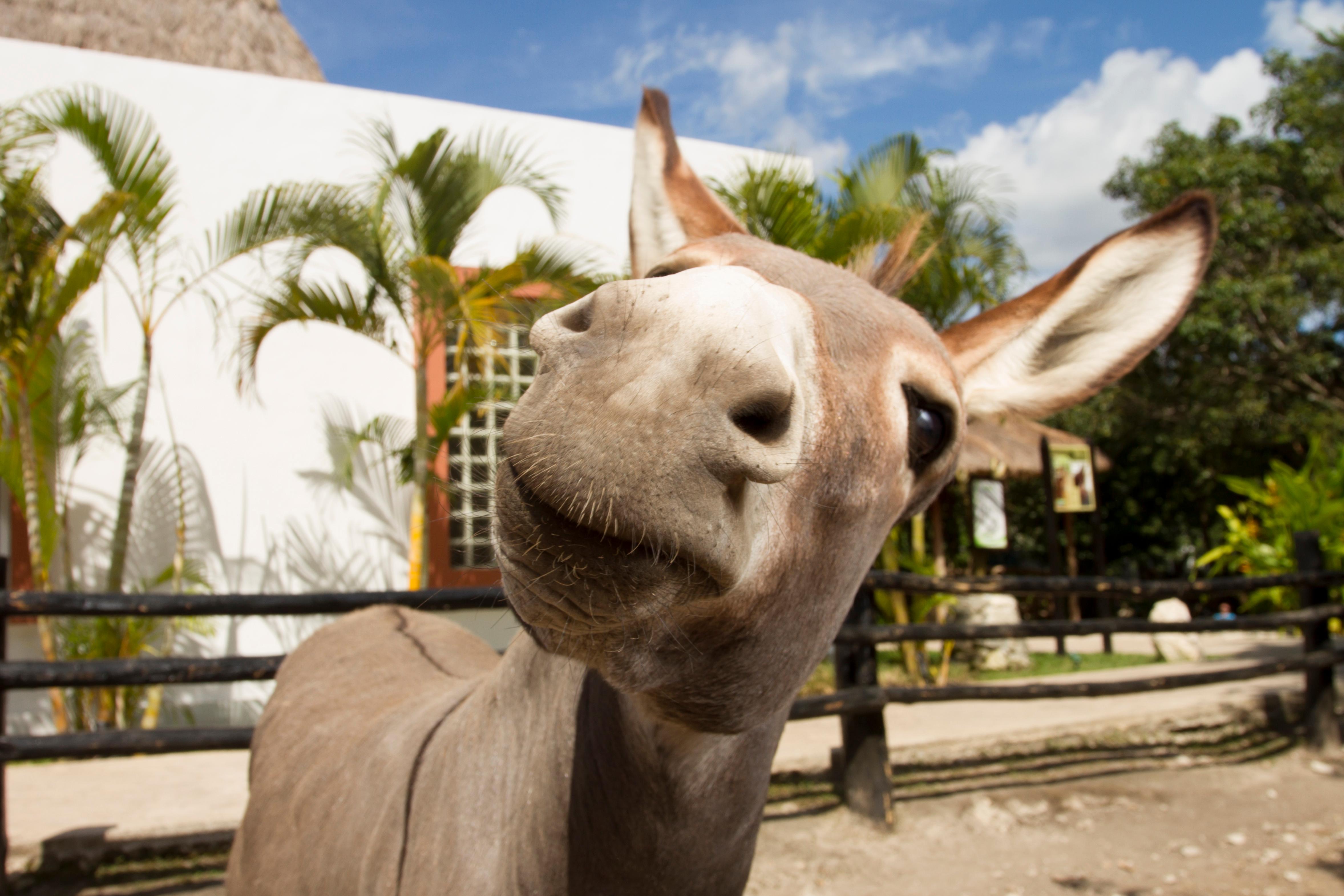 Vista Exterior Sandos Caracol Nature Resort & Water Park All Inclusive