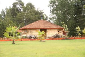 Alquiler Vacacional - Cabañas Epupillan