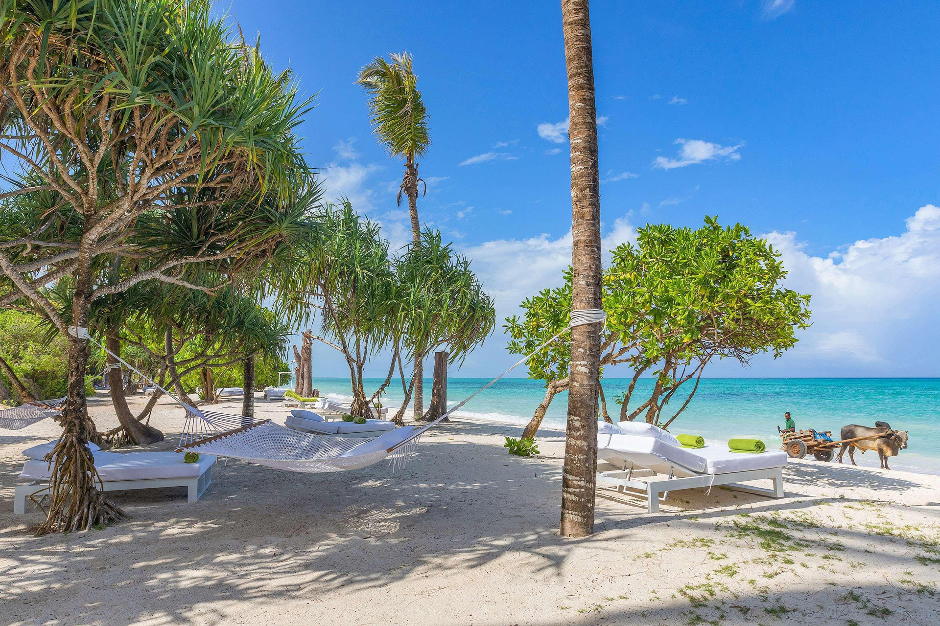 Playa Melia Zanzibar