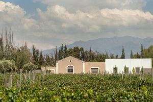 Arriendo temporal - Martino Wines Air B&B