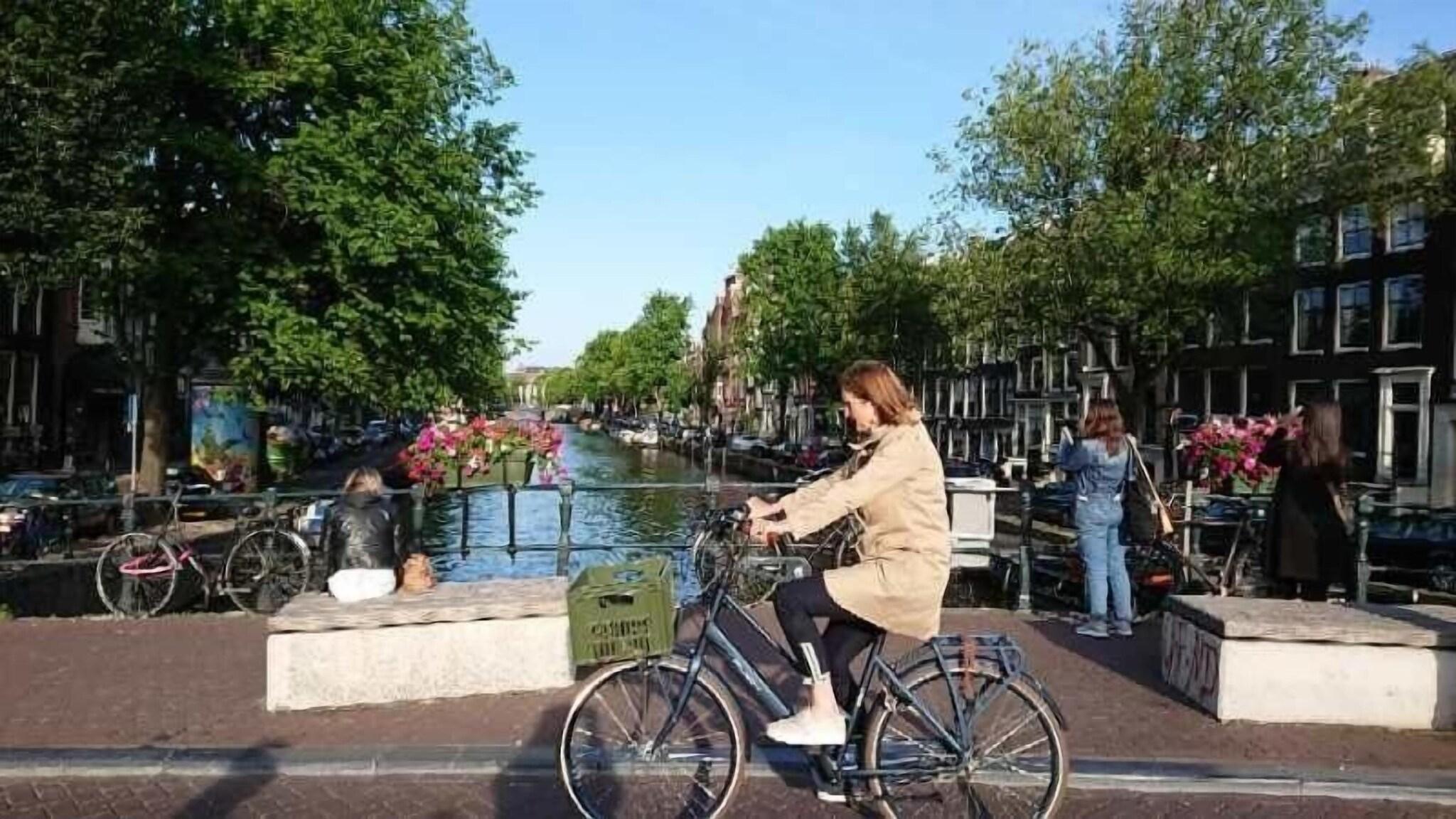 Instalaciones Recreativas Hotel Mozart