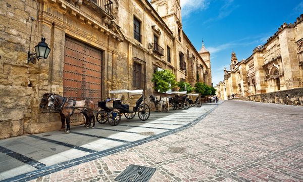 La Catedral