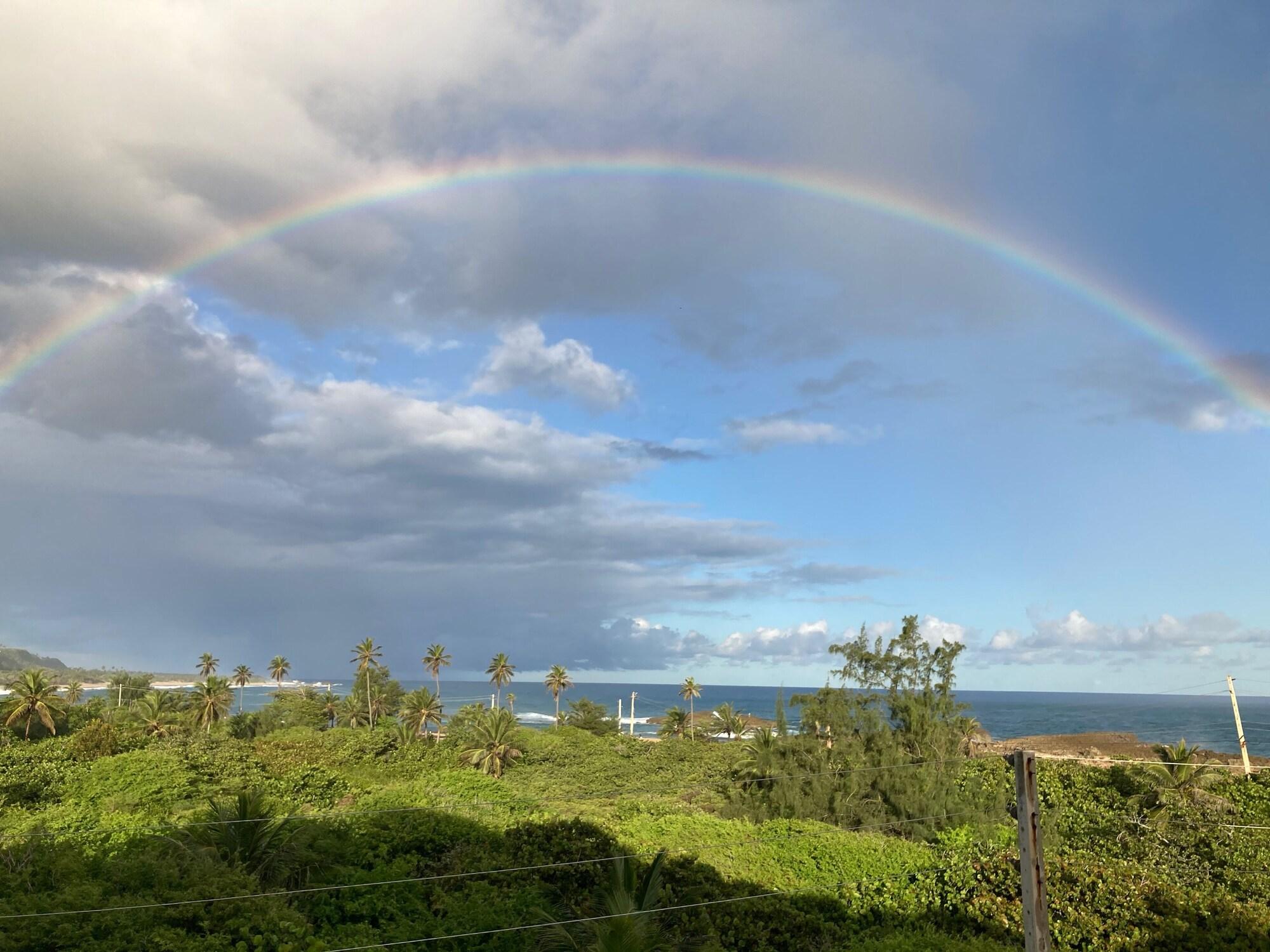 Playa The Perch Hotel