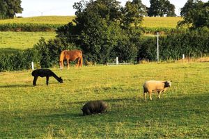 Alojamiento - Chambres d'hôtes le Pot au Lait