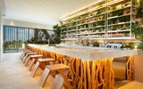 Hyatt Vivid Cancun - Adults Only All Inclusive