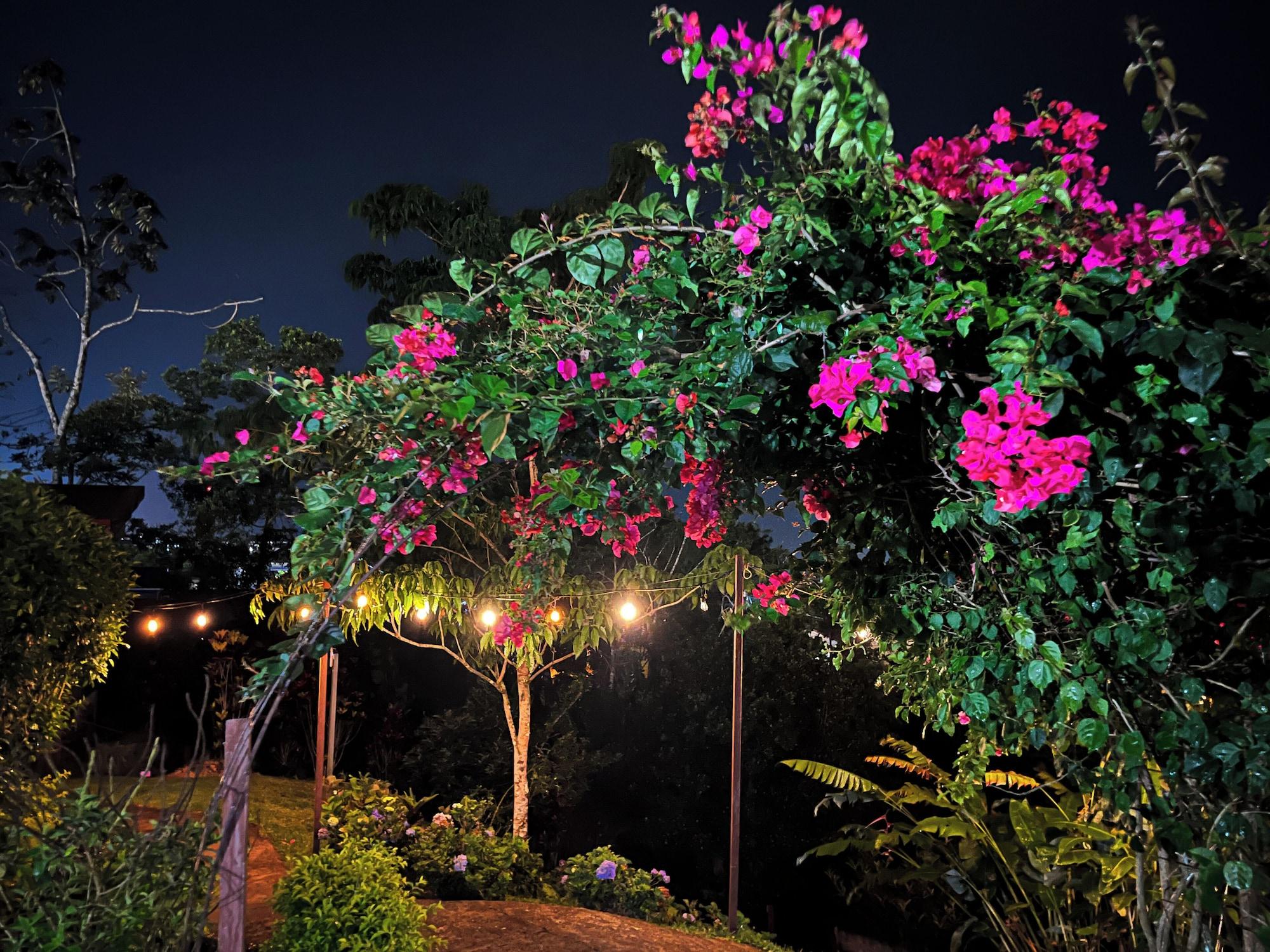 Vista Exterior Legacy Boutique Hotel