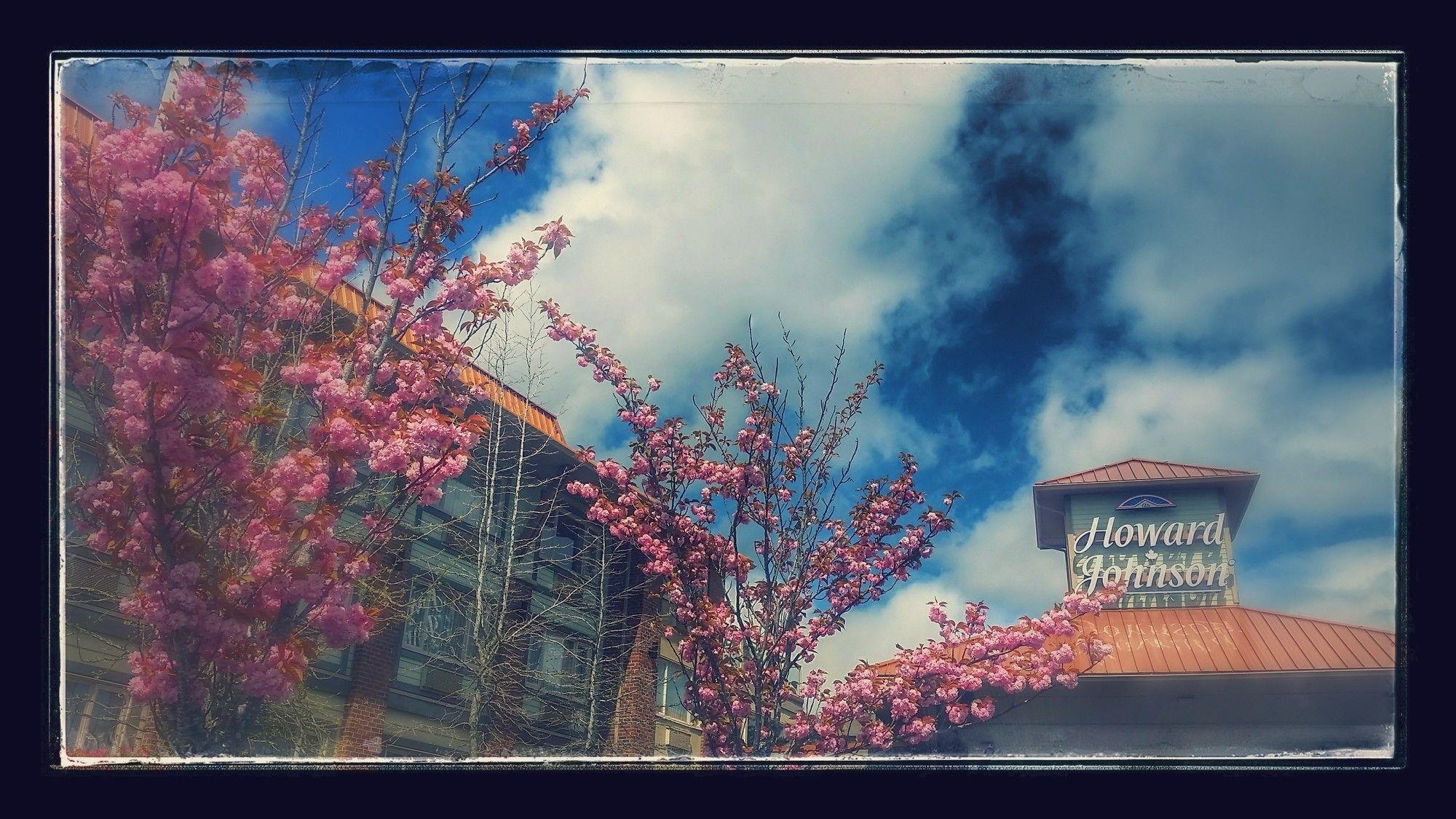 Vista Exterior Holiday Inn Victoria Elk Lake by IHG