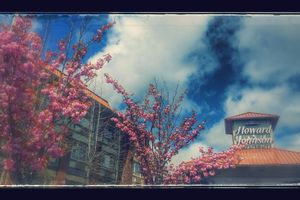 Alojamiento - Holiday Inn Victoria Elk Lake by IHG