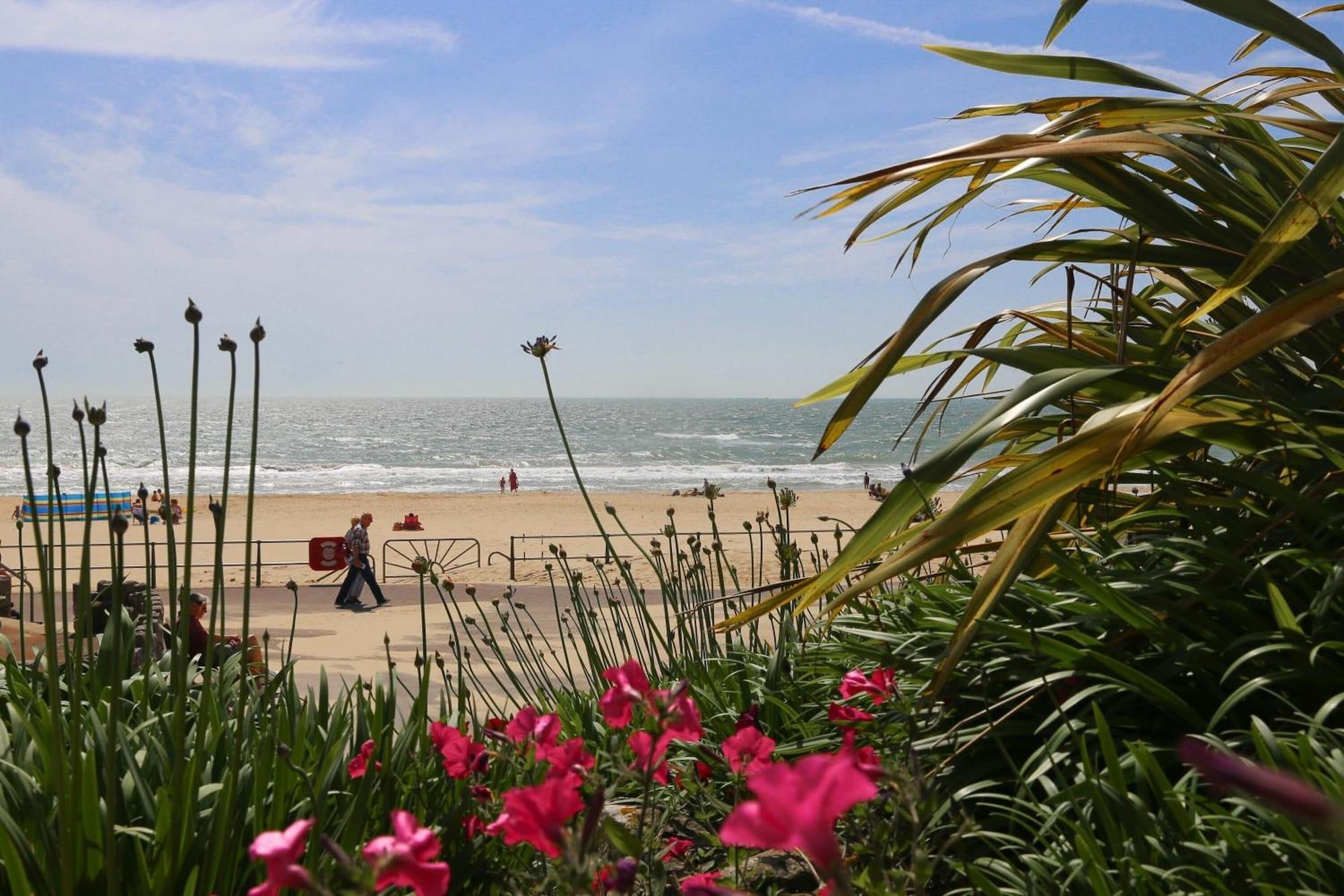 Playa The Canford