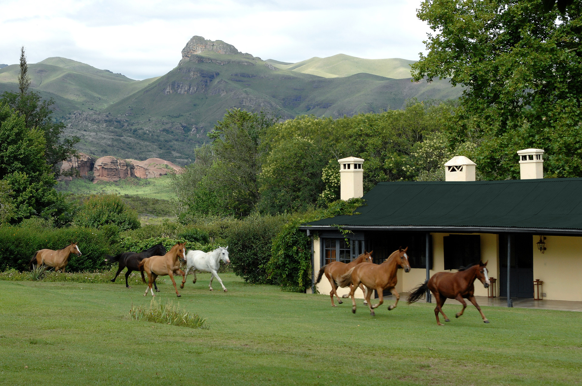 Vista Exterior Dos Lunas Horse Riding Lodge