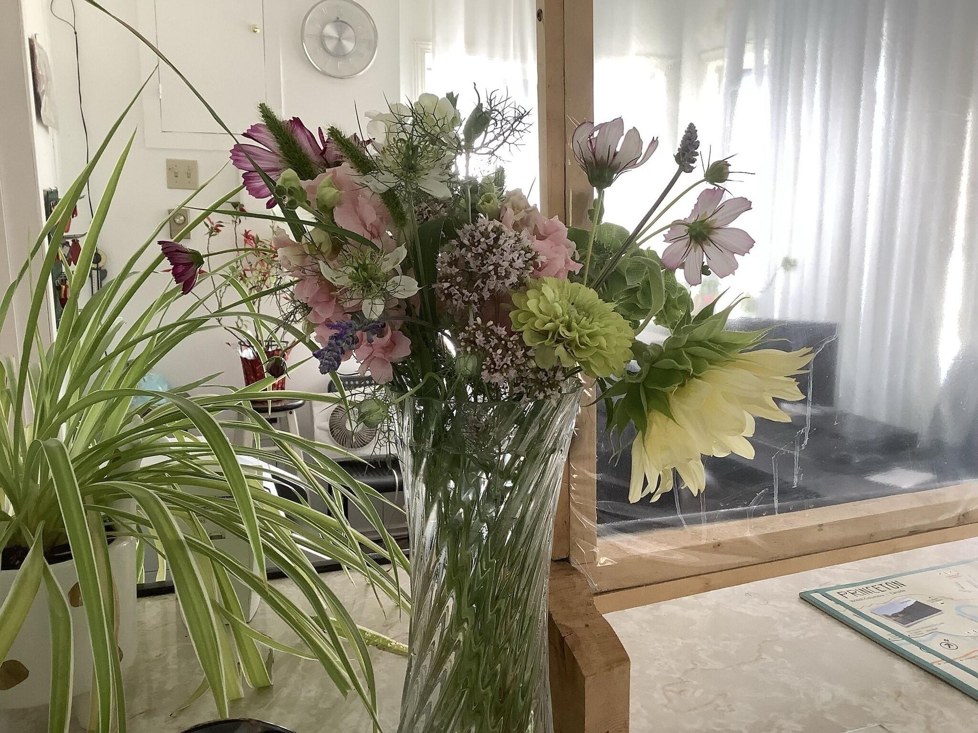 Vista Lobby Cedars Motel