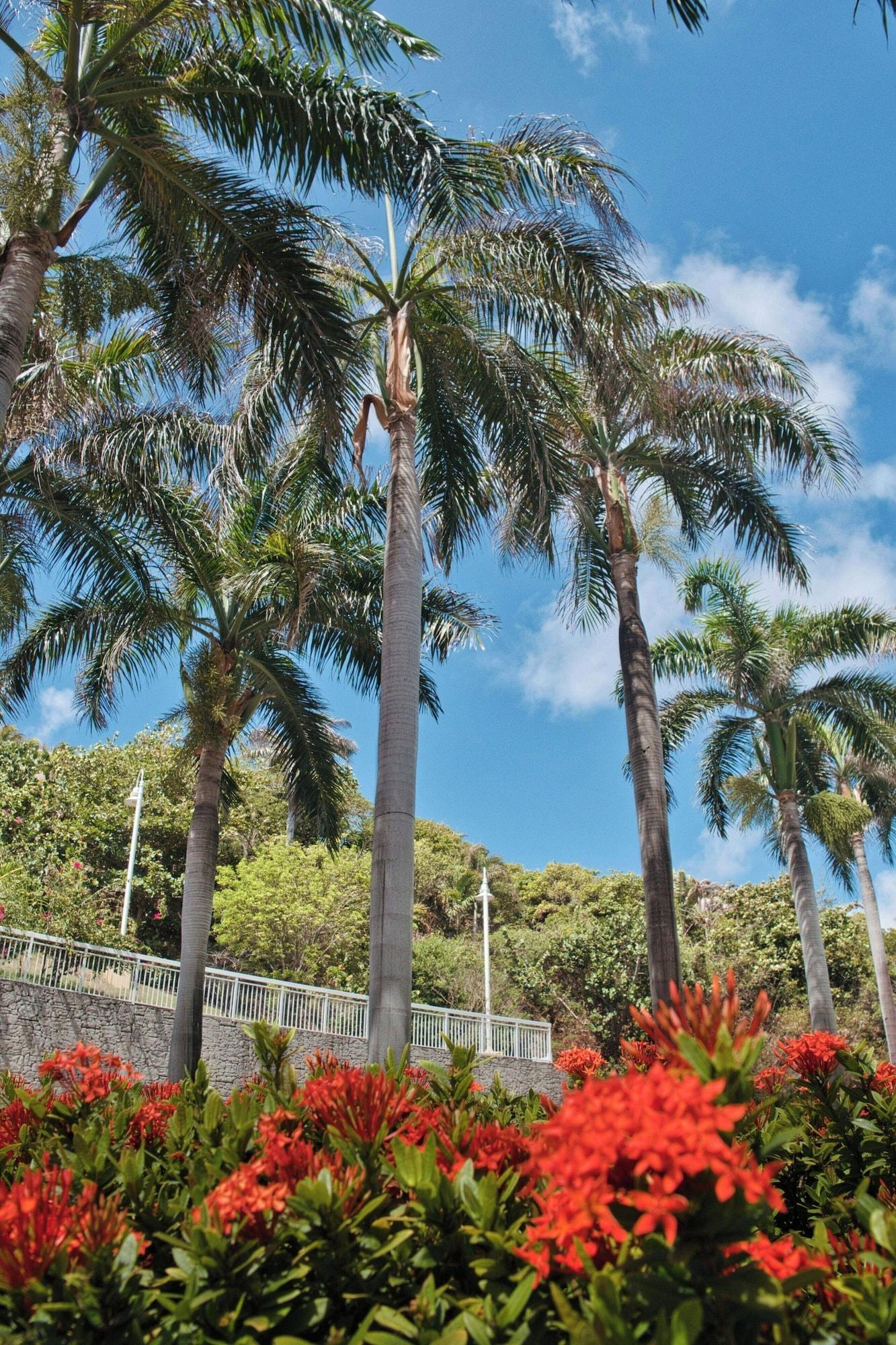Vista Exterior JW Marriott St. Maarten Beach Resort & Spa