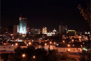 Actividad - Chihuahua De Noche