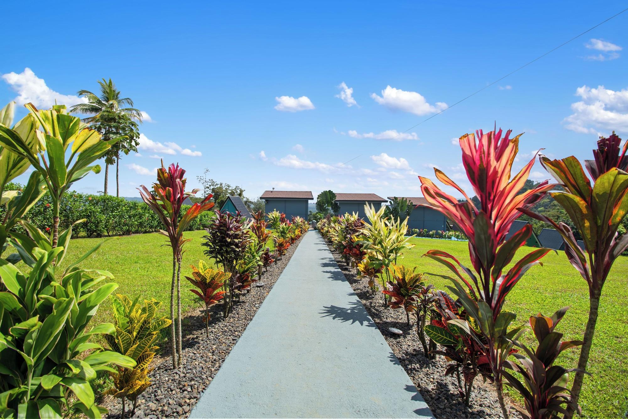 Vista Lobby Junglo Resort and Spa