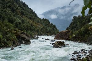 Actividad - Full Day Parque Nacional Queulat
