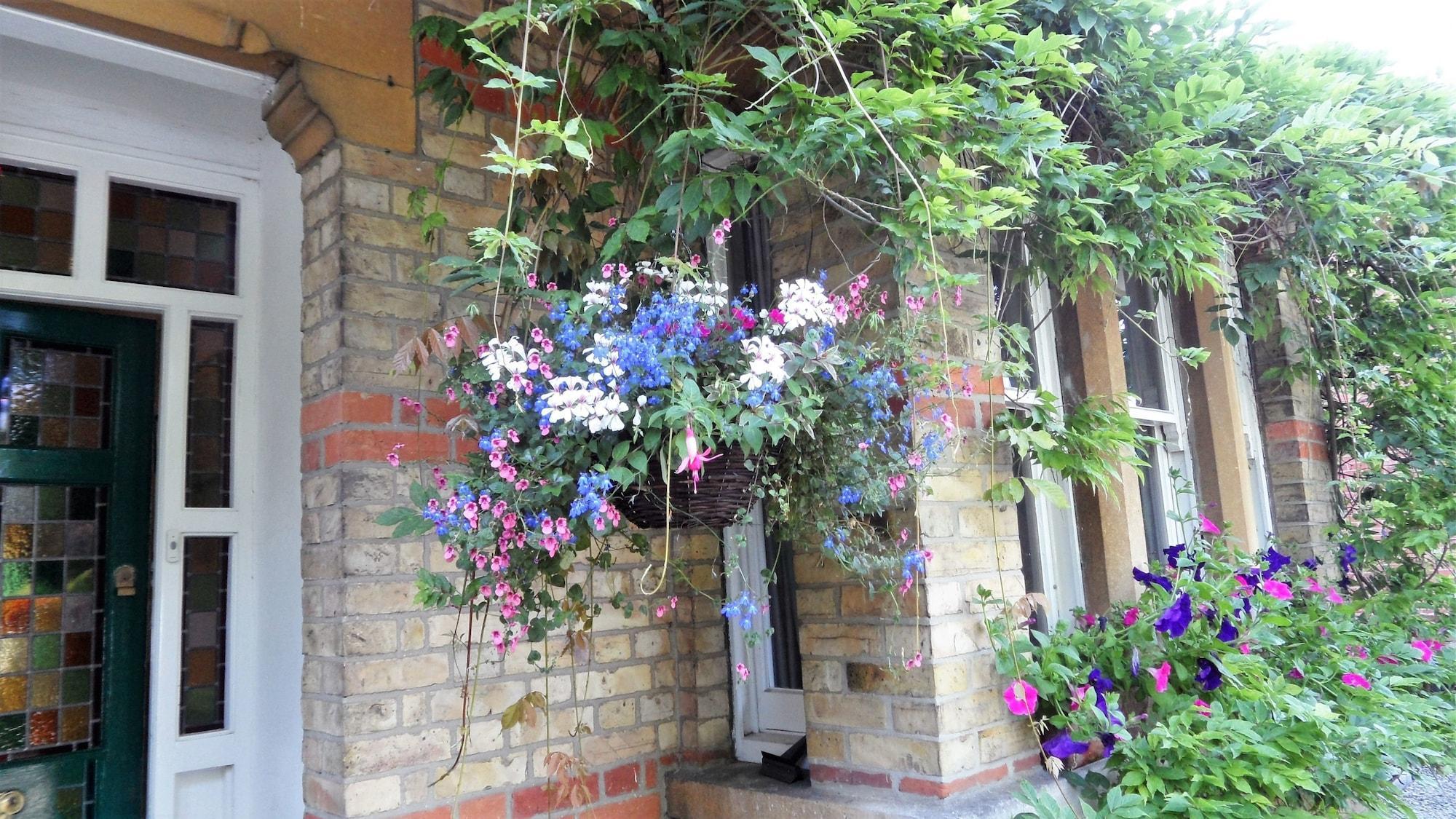 Vista Exterior Ivy House B&B