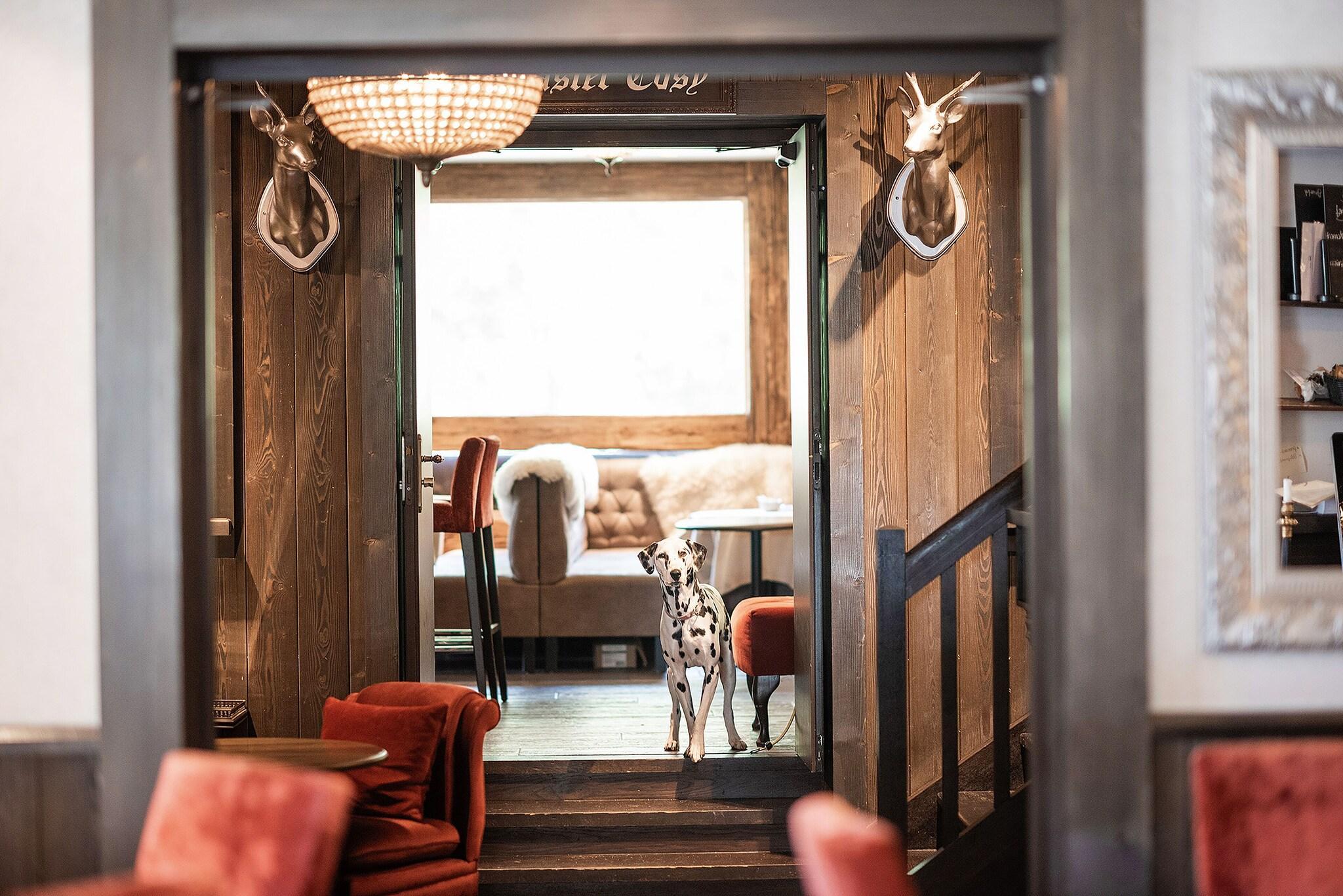 Vista Lobby Chalet Hotel le Castel