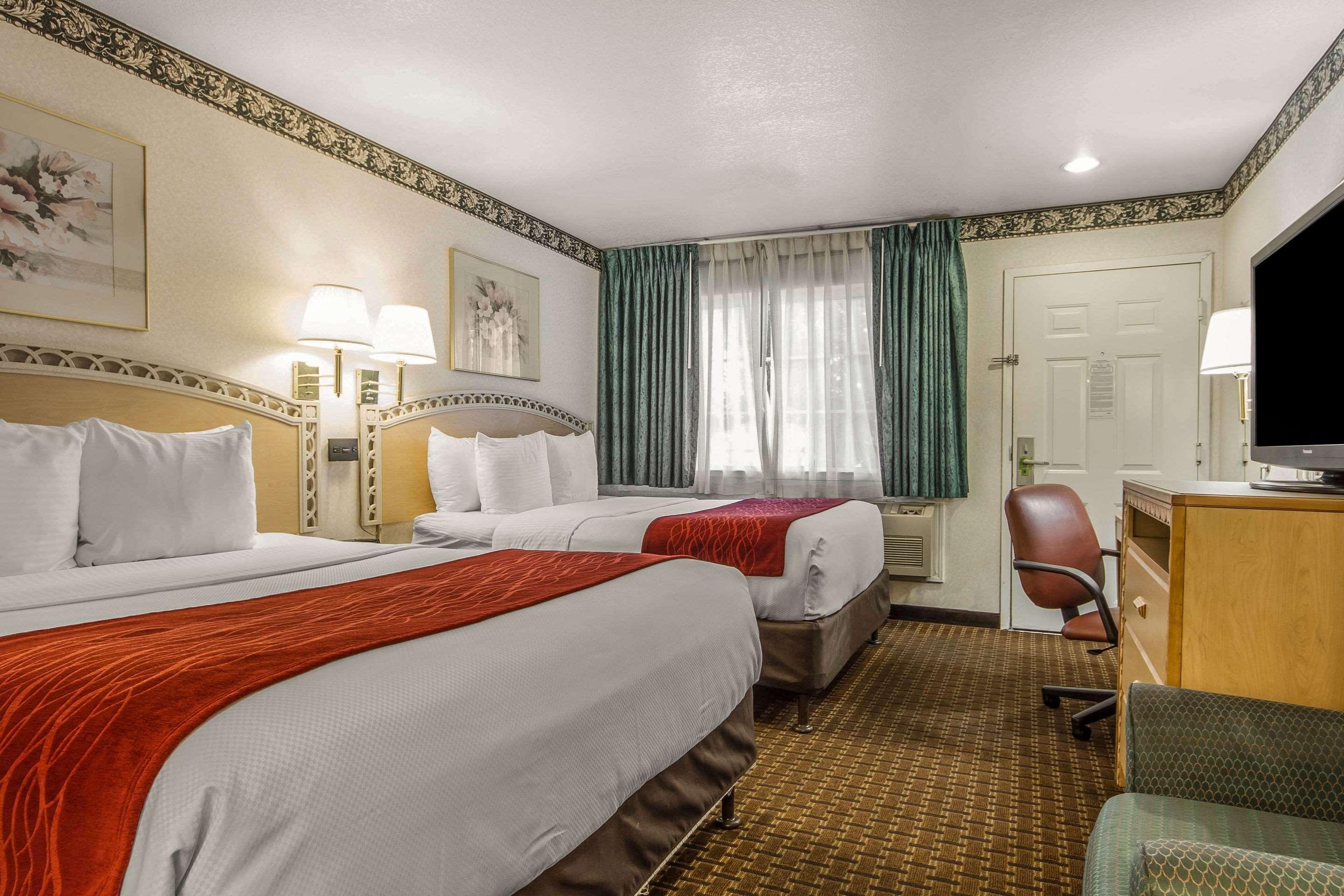 Suite Comfort Inn Palo Alto