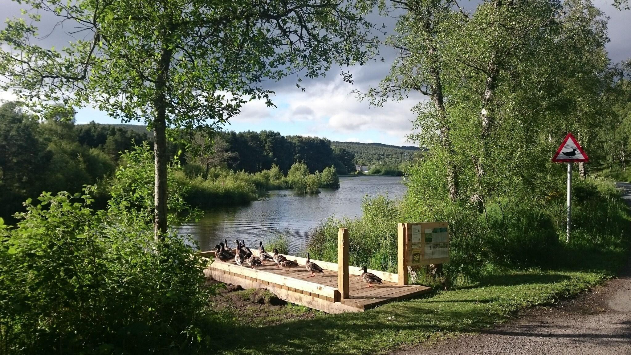 Vista Exterior The Boat Hotel