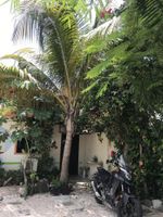 Hoteles con Area Infantil en Puerto Morelos