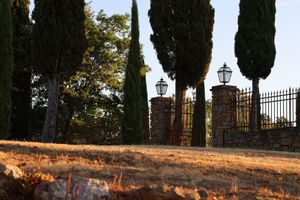 Alojamiento - Podere Cavalbianco