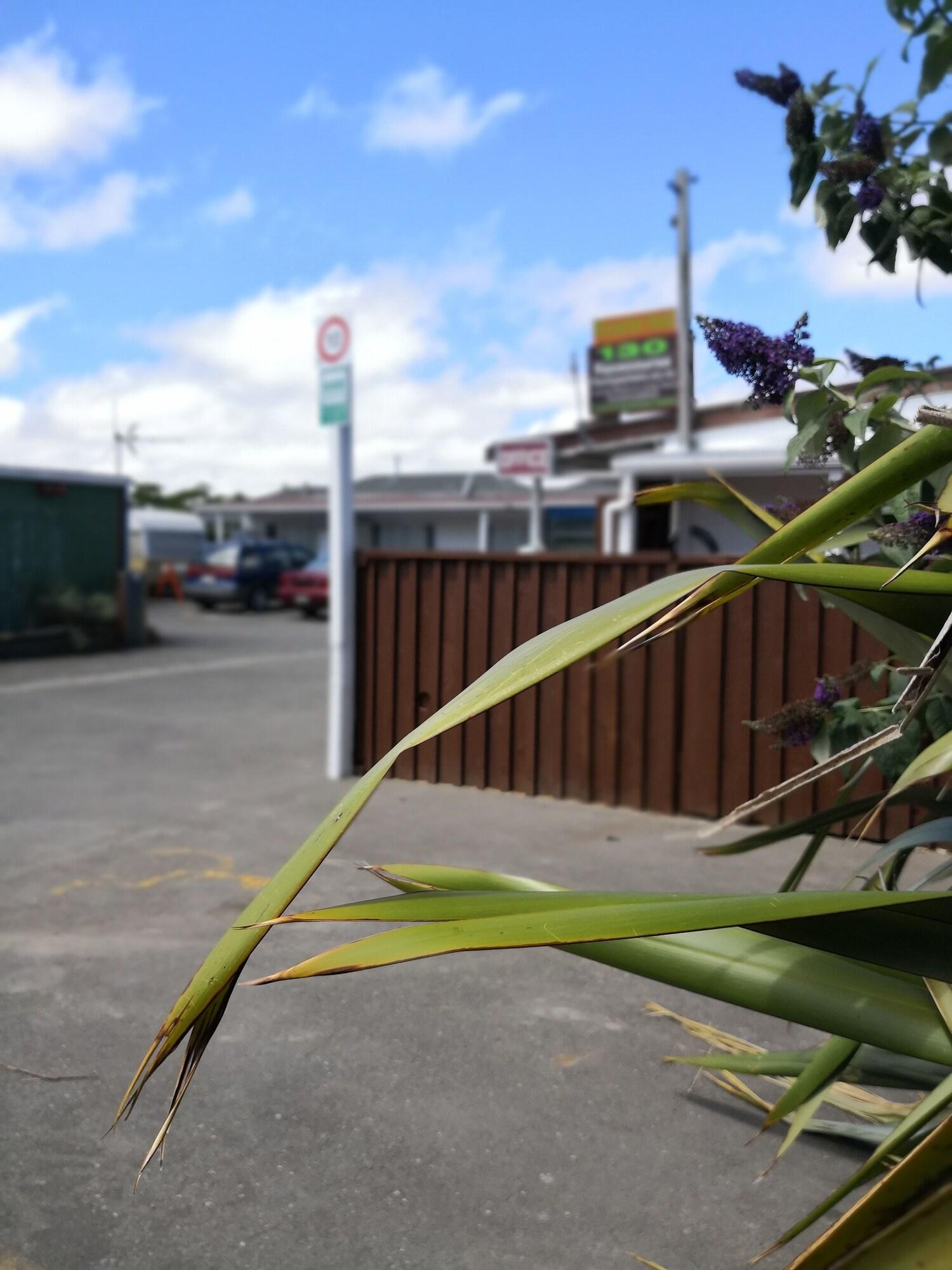 Comodidades del Alojamiento Racecourse Backpackers Hostel