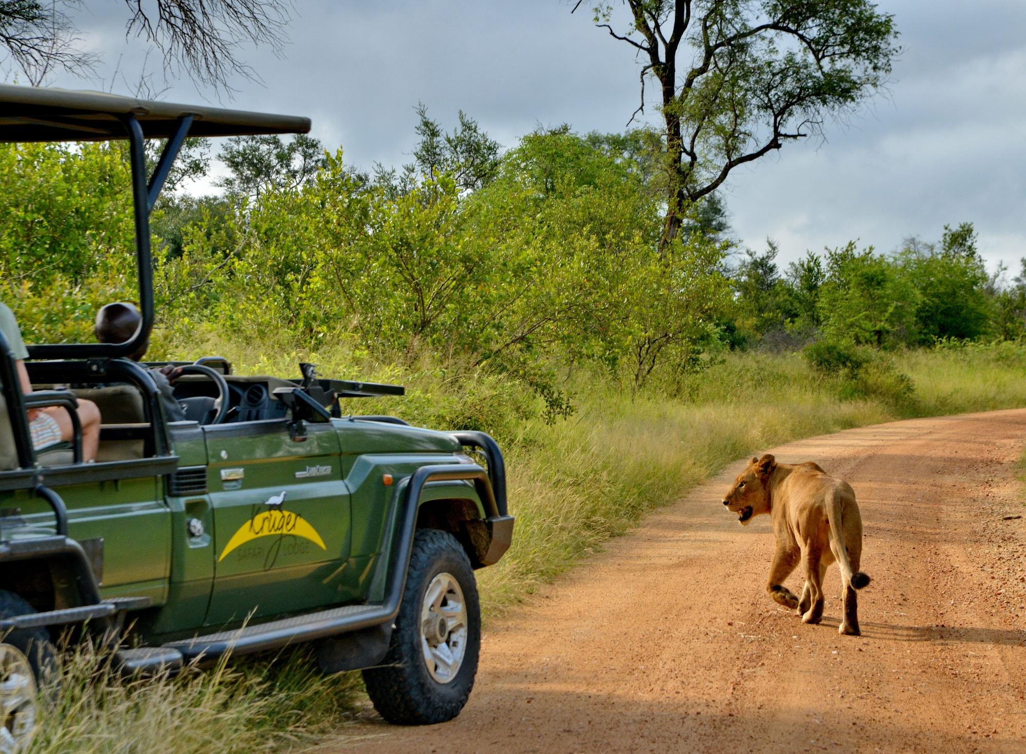 Instalaciones Recreativas Kruger Safari Lodge