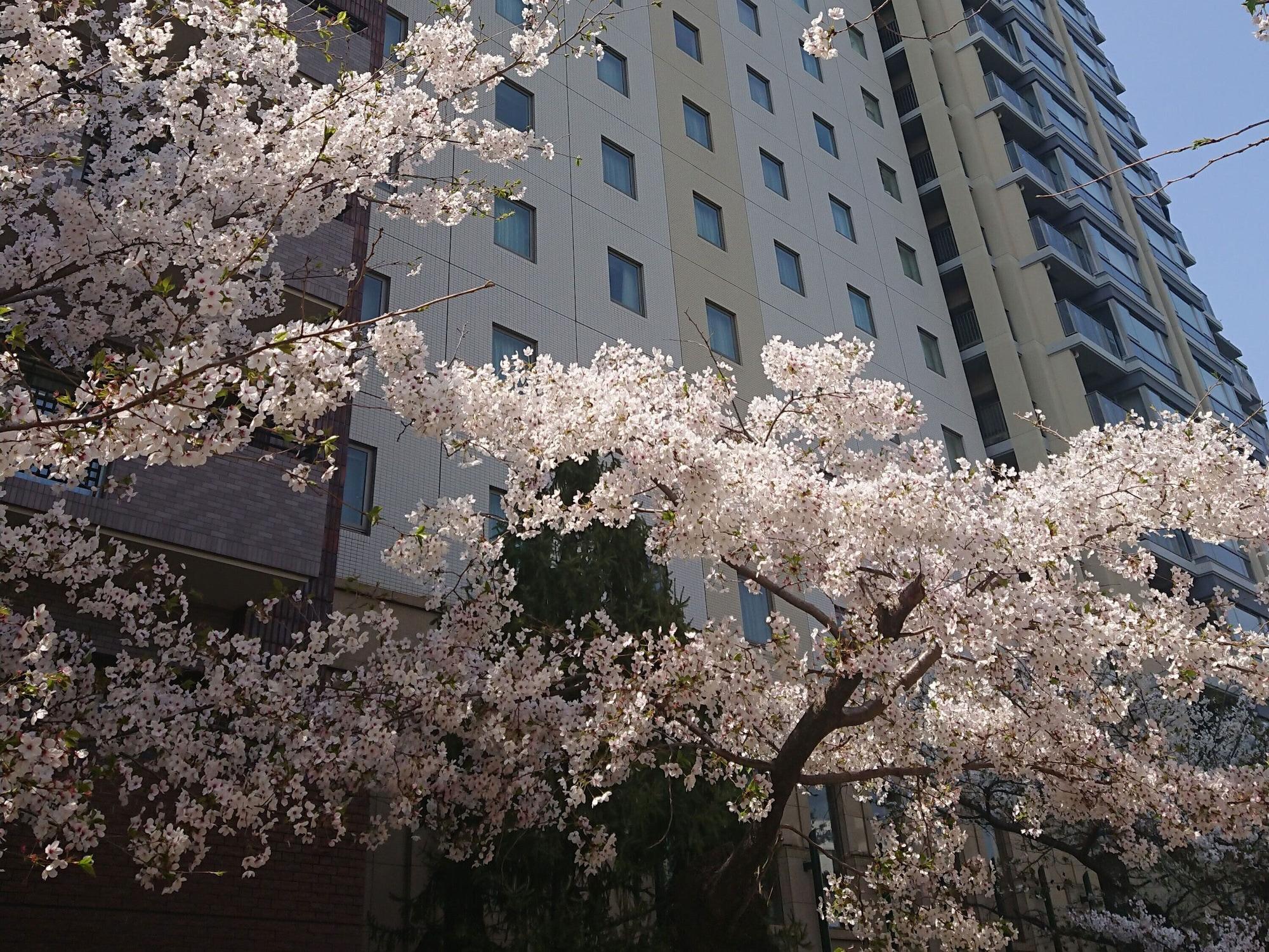 Vista Exterior The Royal Park Hotel Hiroshima RiverSide
