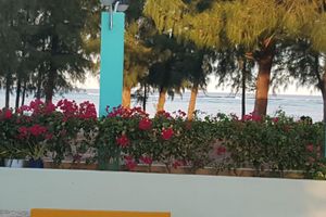 Alojamiento - Saipan Beach Hotel