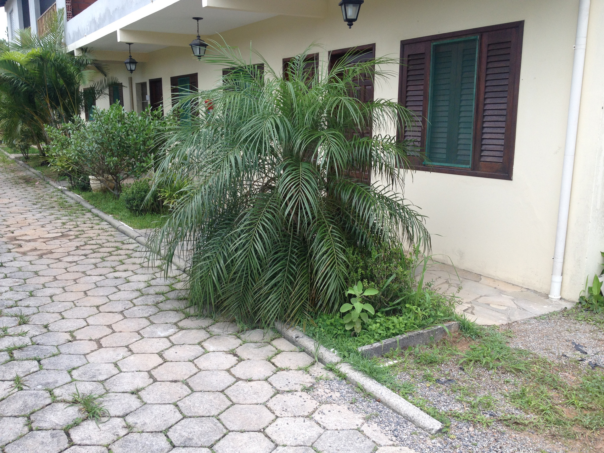 Vista Exterior Pousada barra da ferrugem