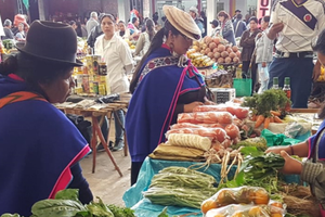 Actividad - Visita a Mercado Indigena de Silvia desde Cali