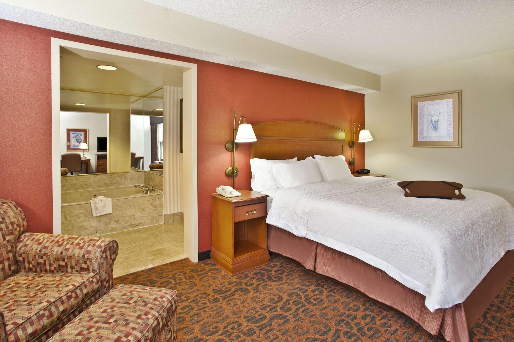 Habitación Hampton Inn Anderson