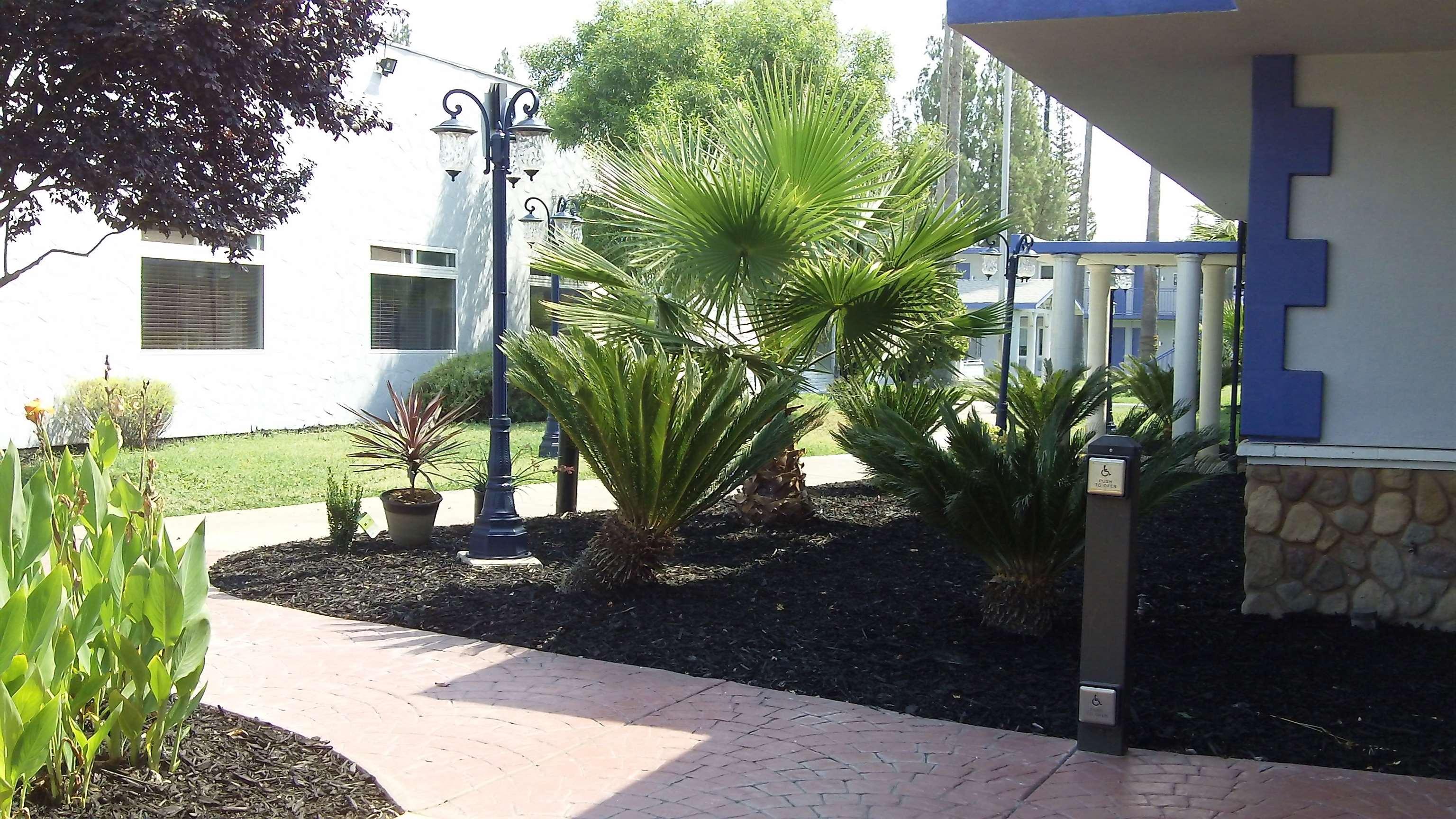 Vista Exterior SureStay Plus Hotel by Best Western Sacramento Cal Expo