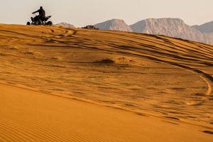 Actividad - Tour en quad por la Reserva Nacional de Paracas