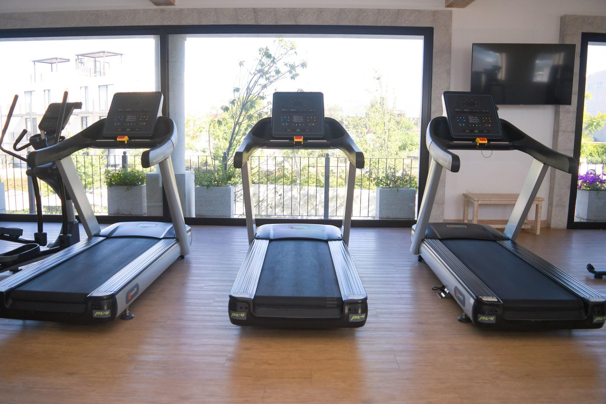 Gimnasio Casa Itzae La Luminaria Dog Friendly
