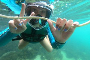 Actividad - Aventura submarina en Bombinhas - Snorkeling