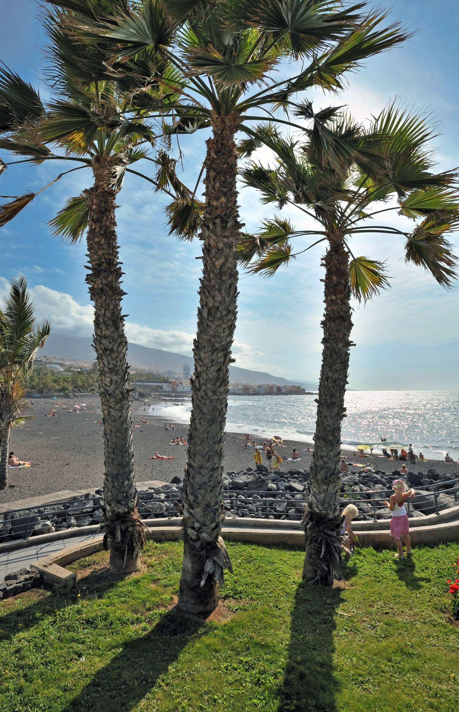 Playa Sol Puerto De La Cruz Tenerife