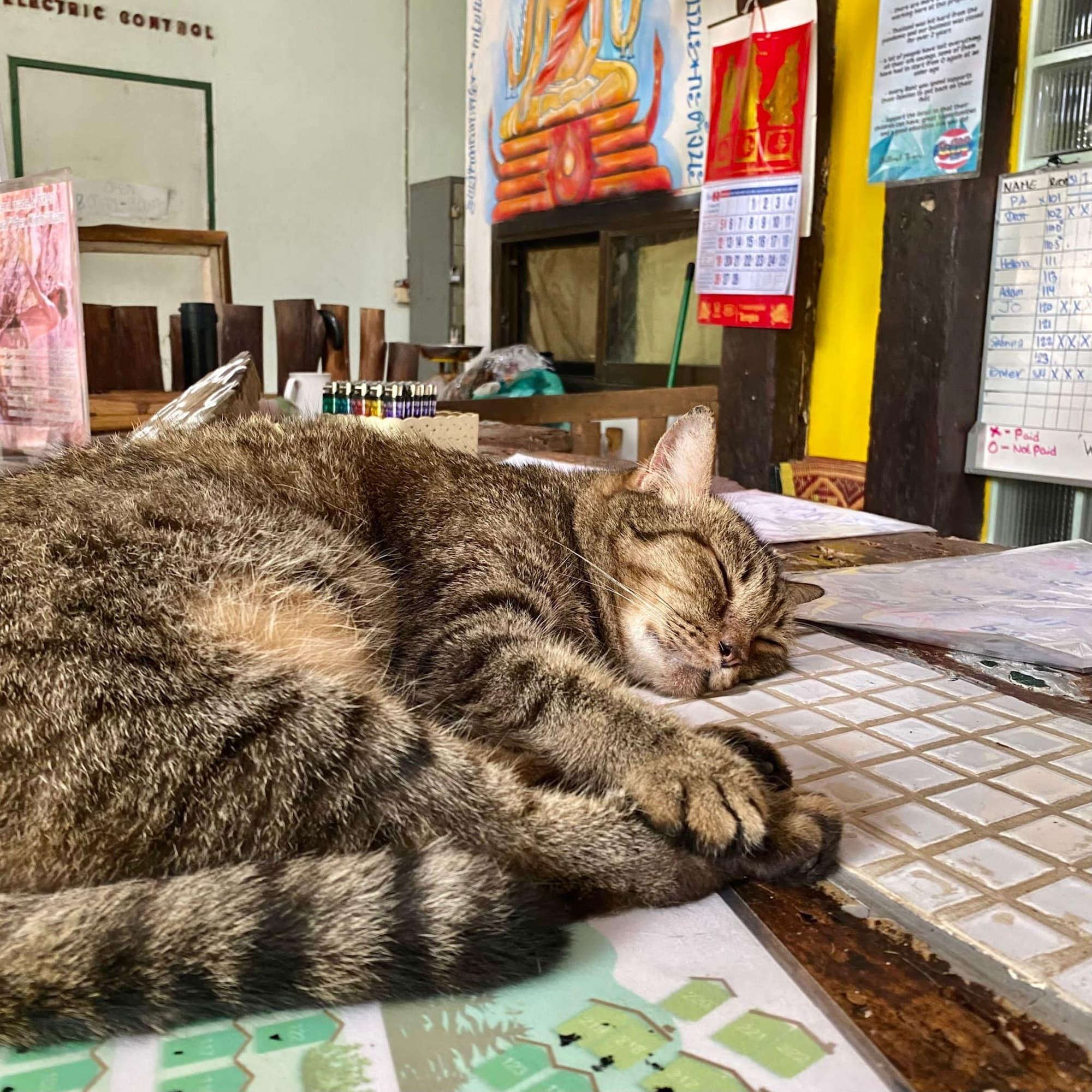 Vista Lobby Chill Out Bar and Bungalows