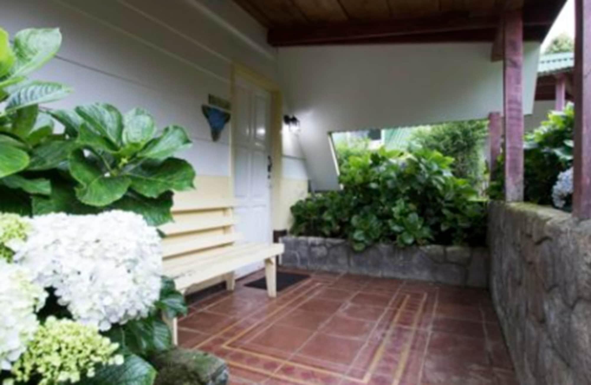 Varios Hortensias Chalets Vara Blanca