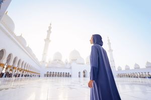 Actividad - Mezquita de Abu Dhabi y Ferrari World tour desde Dubai