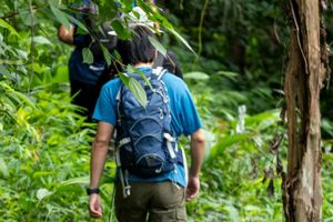 Actividad - Senderismo por la reserva Rainmaker